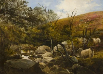 Am Black Burn, in der Nähe von Rothbury